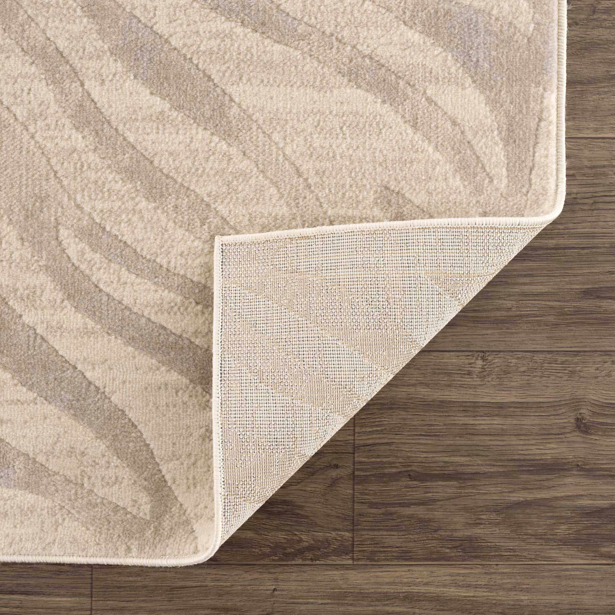 Beige Manteca Zebra Print Area Rug - Image 5
