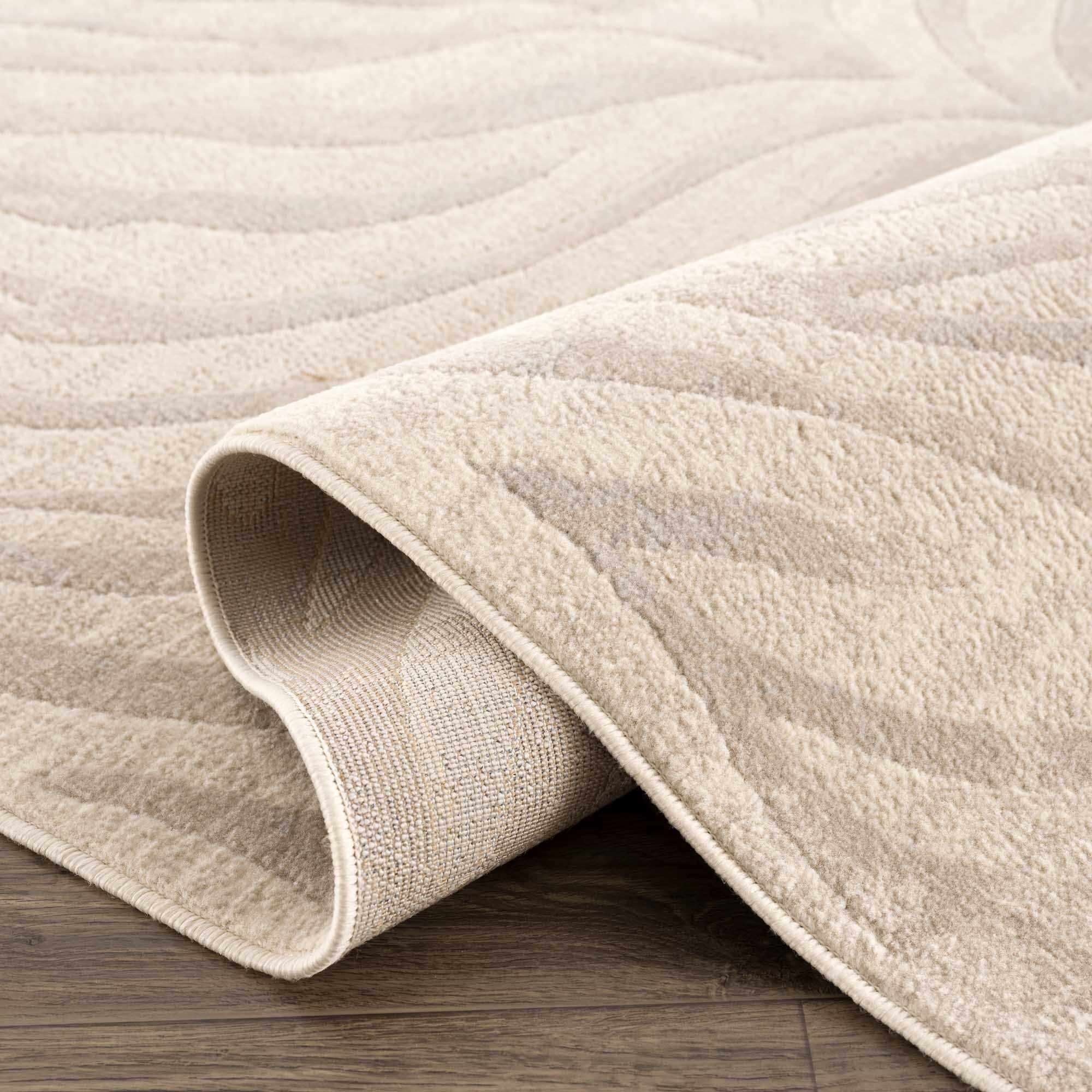 Beige Manteca Zebra Print Area Rug - Image 7