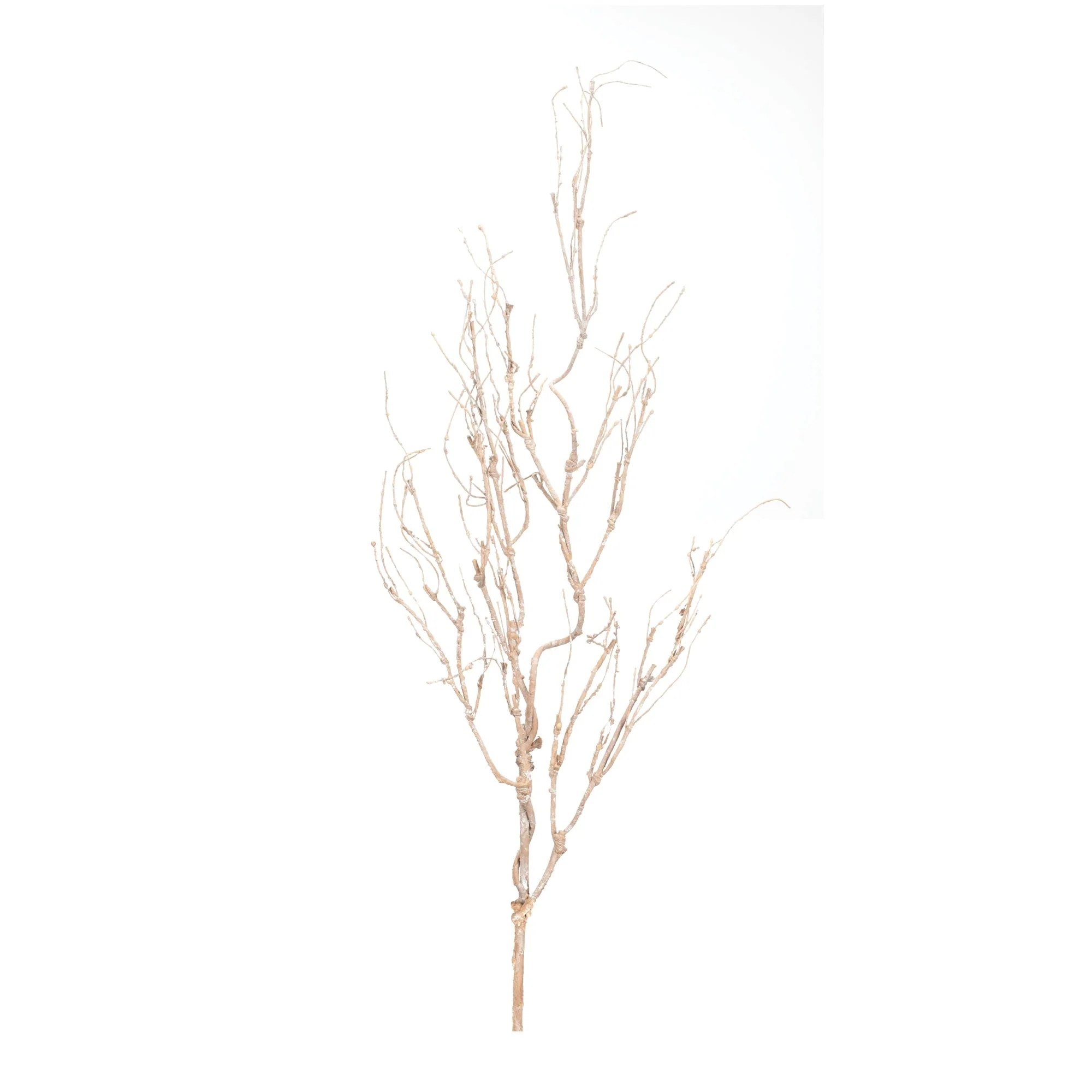 Beige twig branch (set of 6)