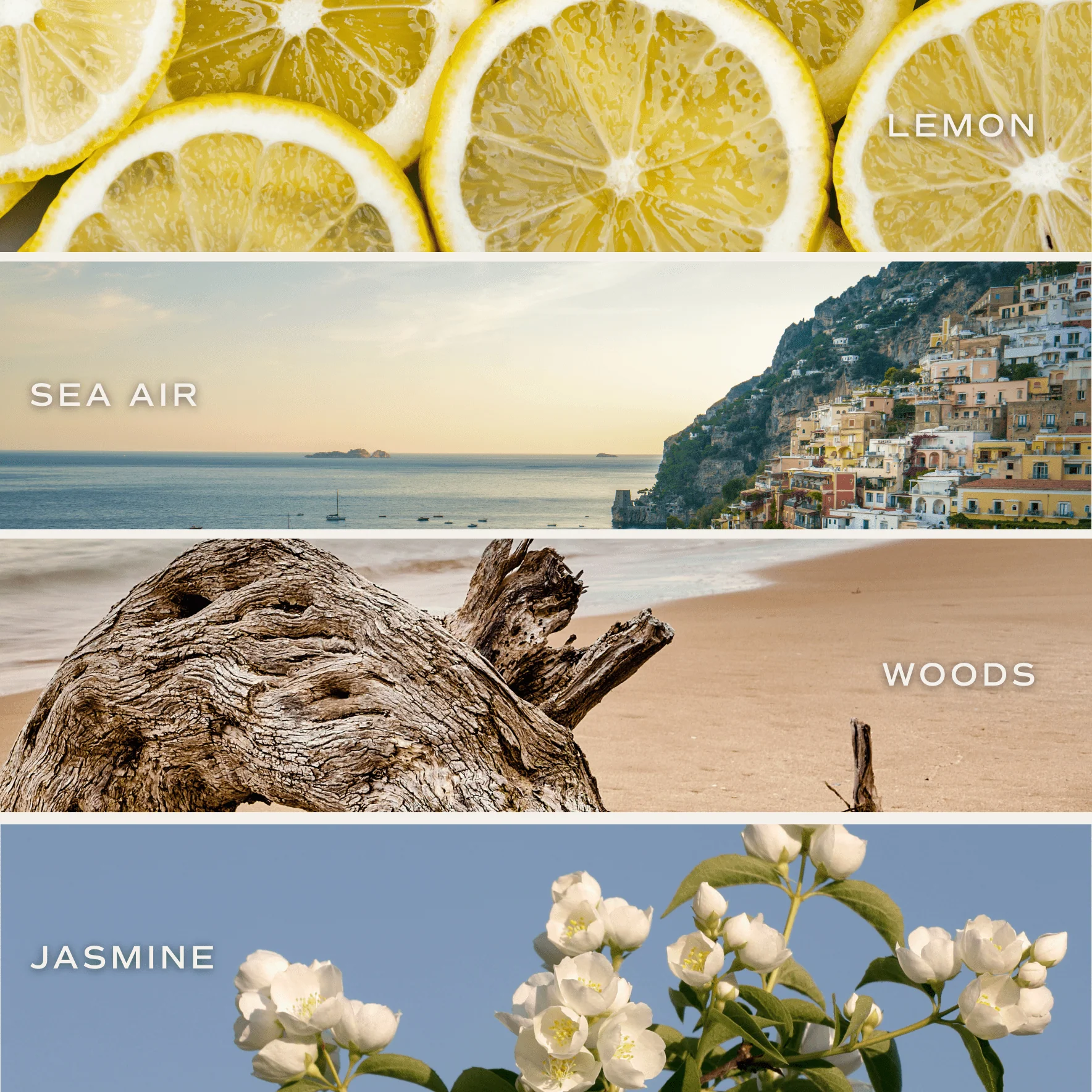 Coastal Lemon Soy Candle - Blue Matte Jar - 15 oz - Image 4