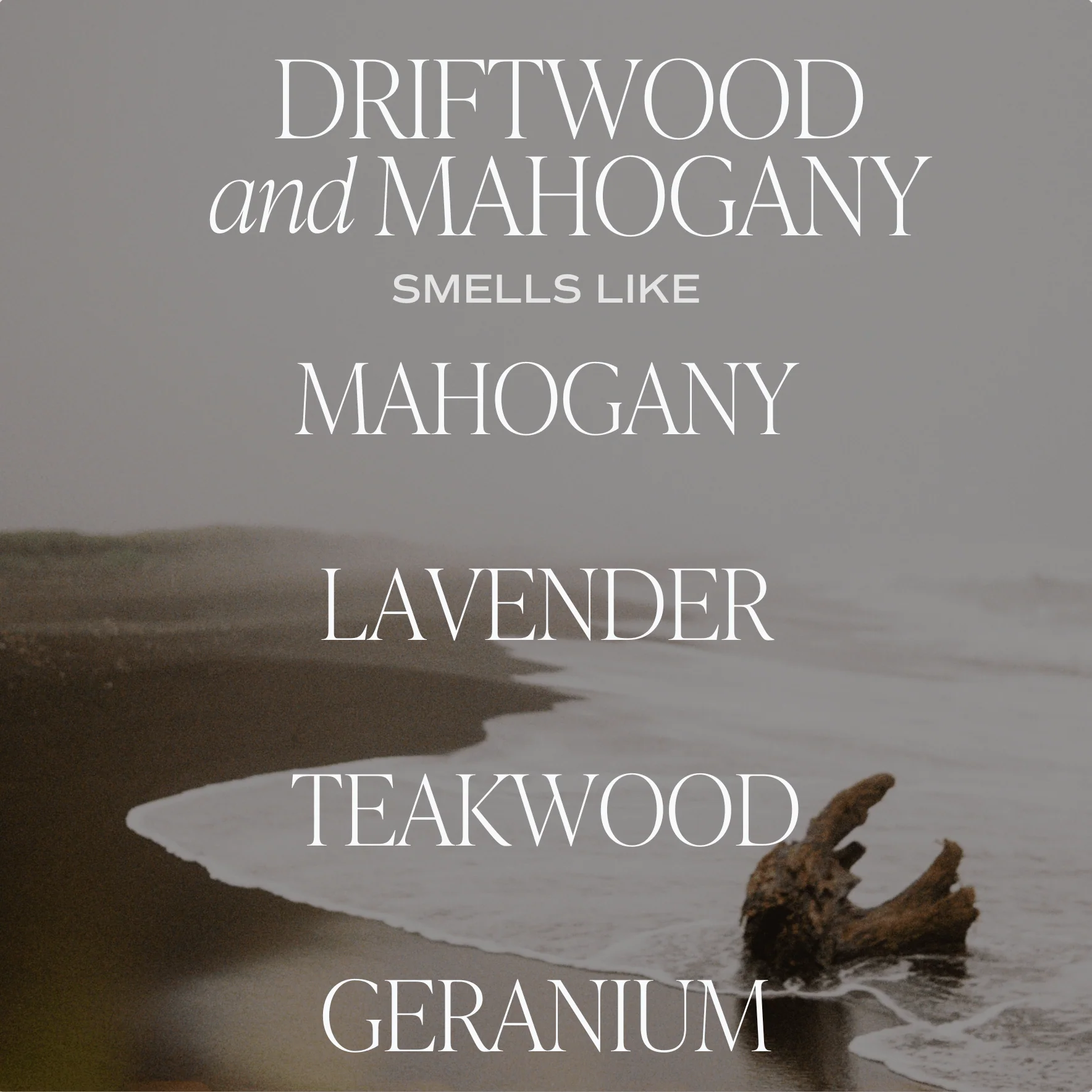 Driftwood and Mahogany Soy Candle - White Jar - 11 oz - Image 3