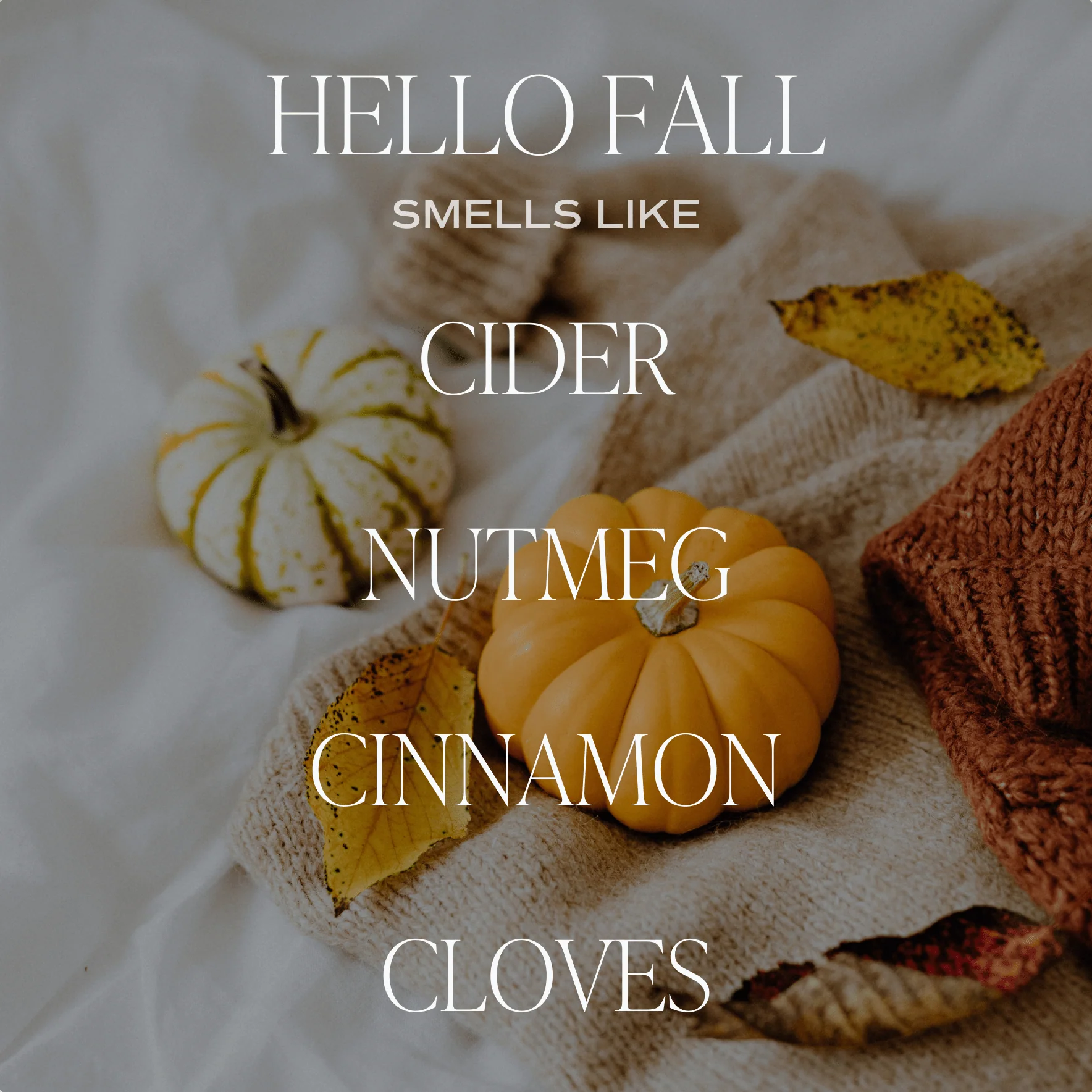 Hello Fall Soy Candle - Brown Matte Jar - 15 oz - Image 2