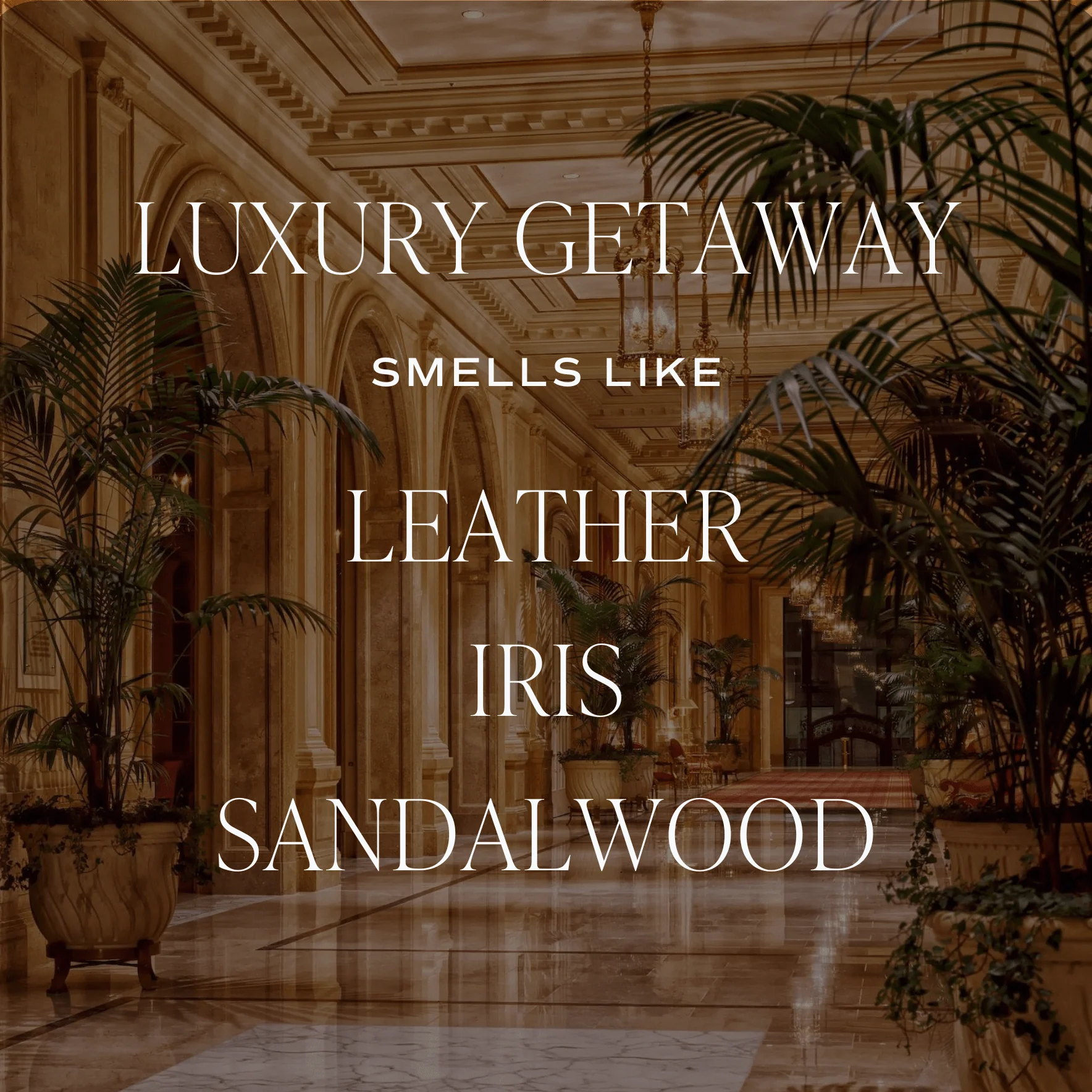 Luxury Getaway Tinted Glass Jar Reed Diffuser - Image 3