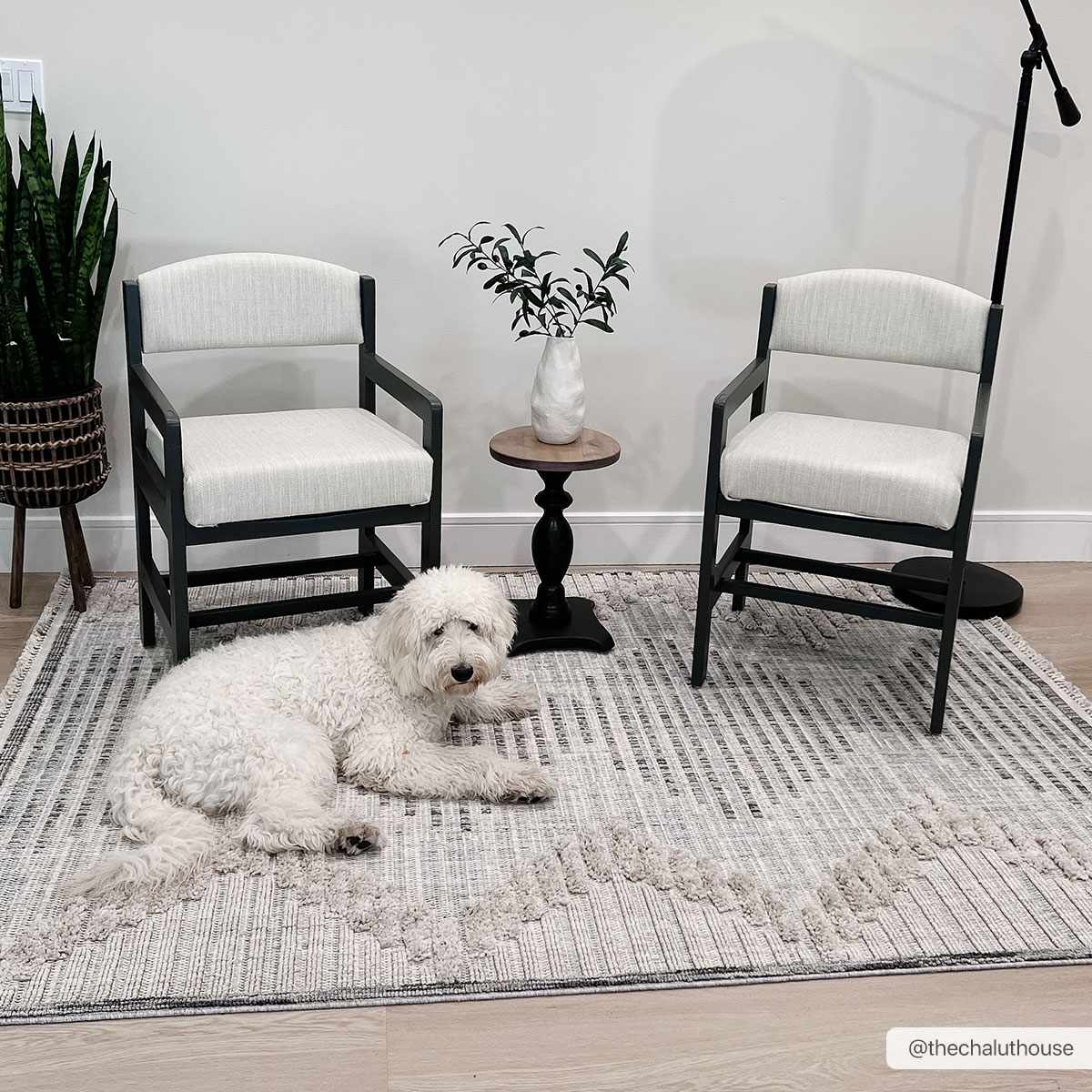 Maulawin High-Low Rustic Rug - Image 11