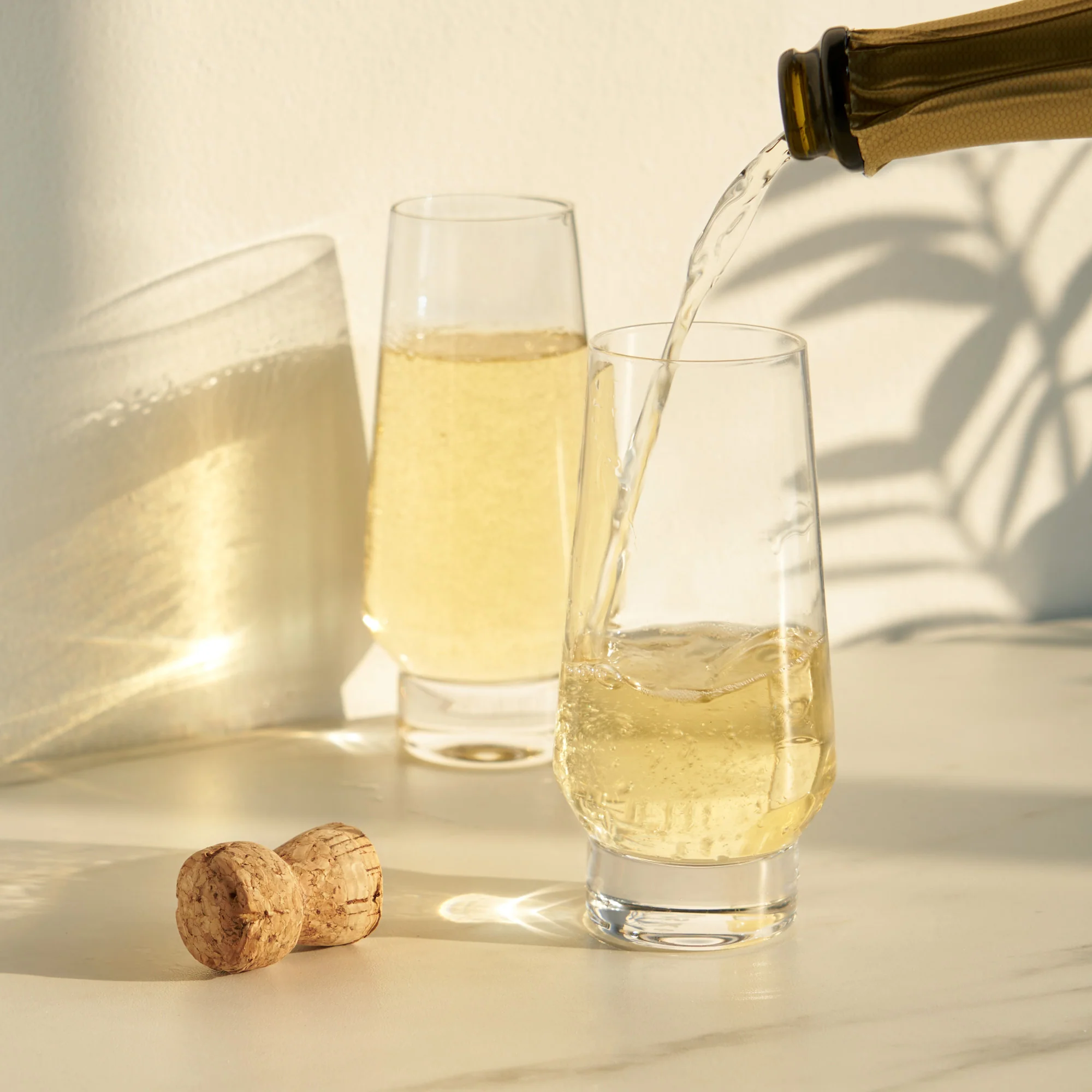 Raye weighted stemless champagne flutes viski®
