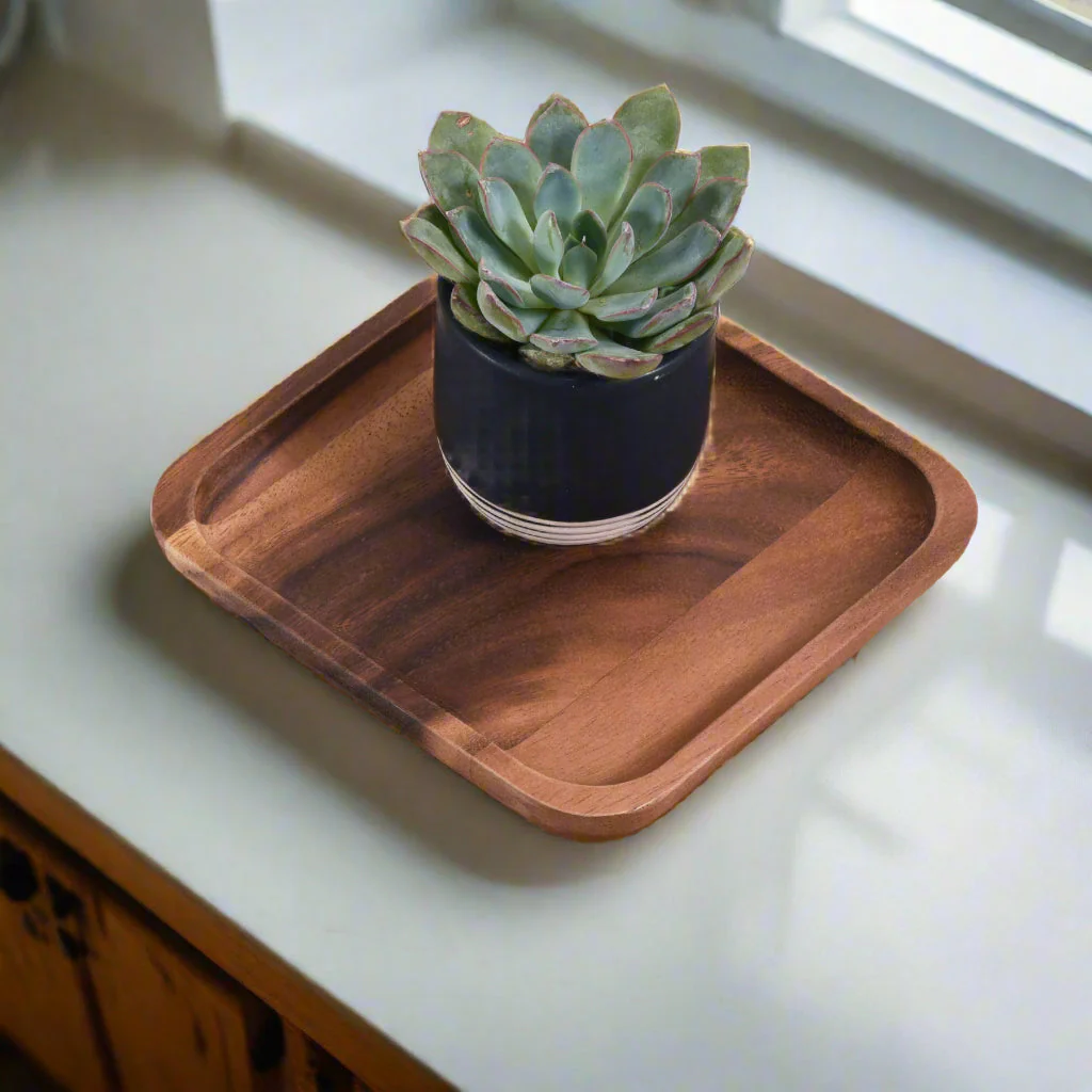 Square Plates - Image 2